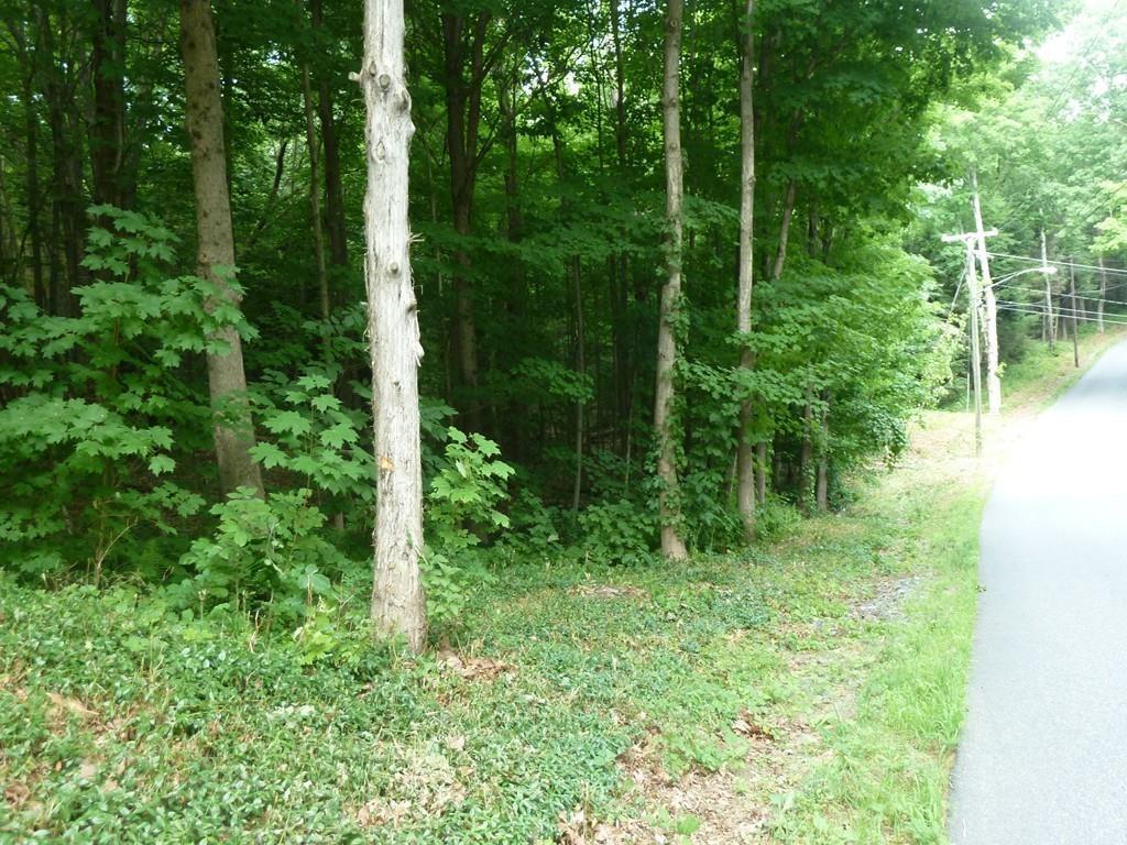 Lot 2 Mountain Road - Photo 1