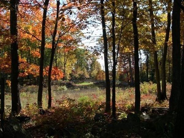 92 Forest Road - Photo 1
