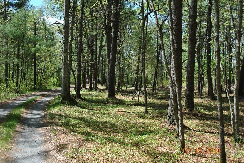 000 Cross Neck Road - Photo 1