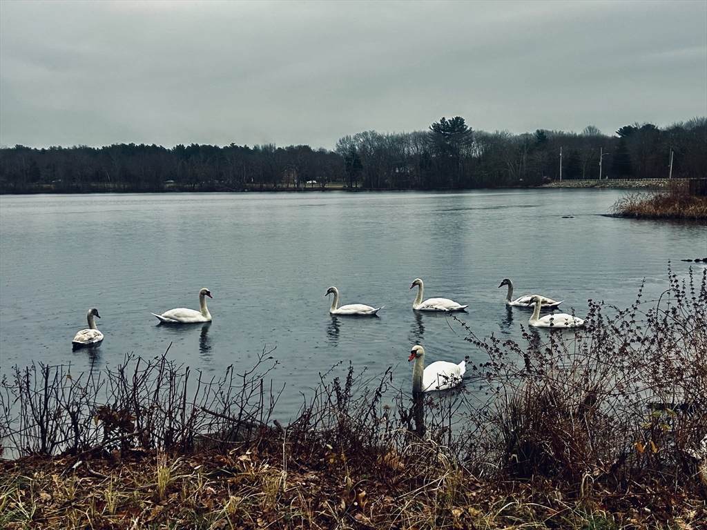 7 Assinippi Ave - Photo 1