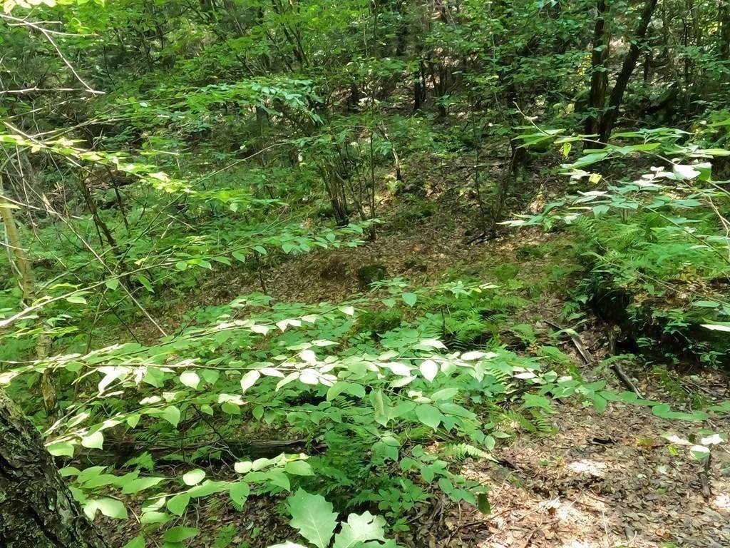 Lot 32-A Valentine Rd - Photo 1
