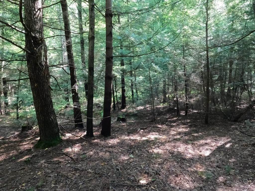 Lot 33-B Valentine Rd - Photo 1