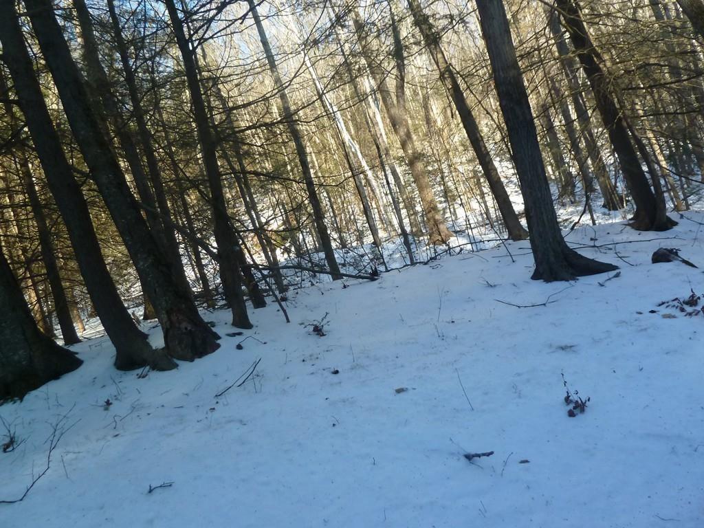 0 Mountain Road - Photo 1