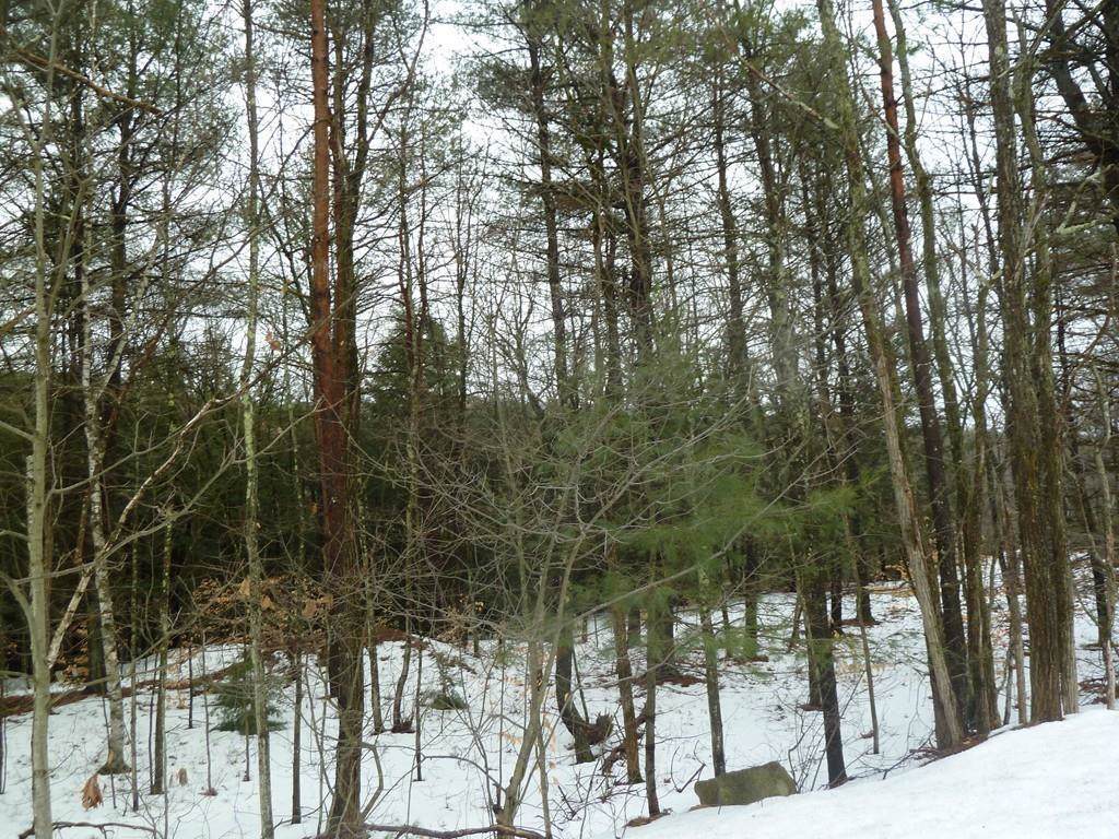 0 East Main Street - Photo 1