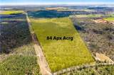 12136 County Road 64 - Photo 7
