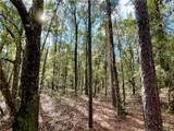 0 County Road 64 - Photo 27