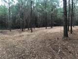 0 Wilmer Georgetown Road - Photo 1