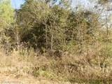 0 Carlyle Drive - Photo 1