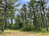 0 State Highway 59 - Photo 50