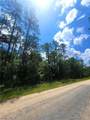 0 Dolphin Drive - Photo 1