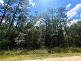 0 Dolphin Drive - Photo 2