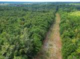 0 Bear Fork Road - Photo 13