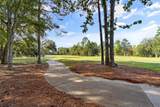 33233 Shinnecock Lane - Photo 11