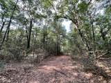 0 Bear Fork Road - Photo 28
