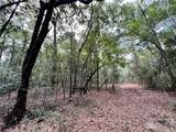 0 Bear Fork Road - Photo 32
