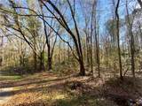 0 Creola Drive - Photo 4