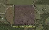 0 Private Road 115 - Photo 4