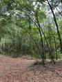 0 Spice Pond Drive - Photo 2