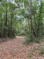 0 Spice Pond Drive - Photo 3