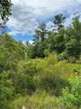 0 Spice Pond Drive - Photo 5