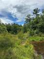 0 Spice Pond Drive - Photo 7