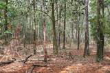 0 Spice Pond Drive - Photo 9