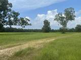 0 Presley Street - Photo 11
