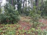 0 Dauphin Island Parkway - Photo 4