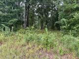 0 Dauphin Island Parkway - Photo 6