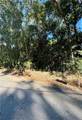 0 Live Oak Circle - Photo 1