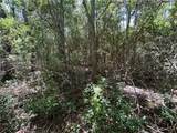 0 Bayou Pines Drive - Photo 3