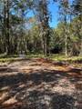 12220 Bay Street - Photo 4
