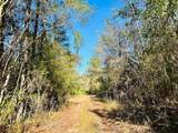 0 Constitution Road - Photo 29