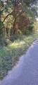 0 Dykes Road - Photo 4