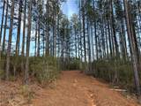 0 Turnerville Farms Drive - Photo 1