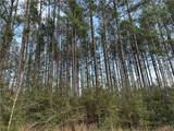 0 Turnerville Farms Drive - Photo 5