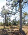 6945 Three Notch Road - Photo 2