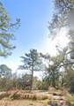 6945 Three Notch Road - Photo 6