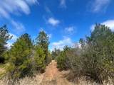 0 Chunchula-Georgetown Road - Photo 11