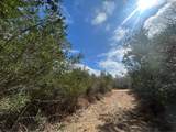 0 Chunchula-Georgetown Road - Photo 13