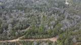 0 Chunchula-Georgetown Road - Photo 15