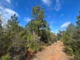 0 Chunchula-Georgetown Road - Photo 3