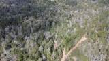 0 Chunchula-Georgetown Road - Photo 4
