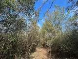 0 Chunchula-Georgetown Road - Photo 7