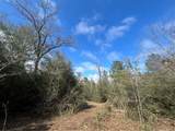 0 Chunchula-Georgetown Road - Photo 9