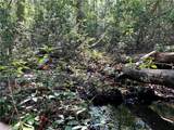0 Leroy Stevens Road - Photo 4