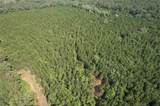 0 Edgar Roberts Road - Photo 40