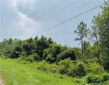 0 Leroy Stevens Road - Photo 3