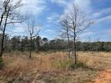 10765 Mary Ann Beach Road - Photo 1