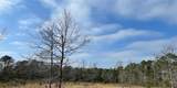 10765 Mary Ann Beach Road - Photo 2